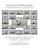 Pilates Expanded Matwork & Props Photo Encyclopedia