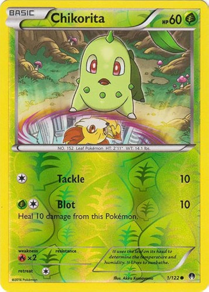 Amazon.co.jp: Pokemon – Chikorita ( 1 / 122 ) – XYブレーク