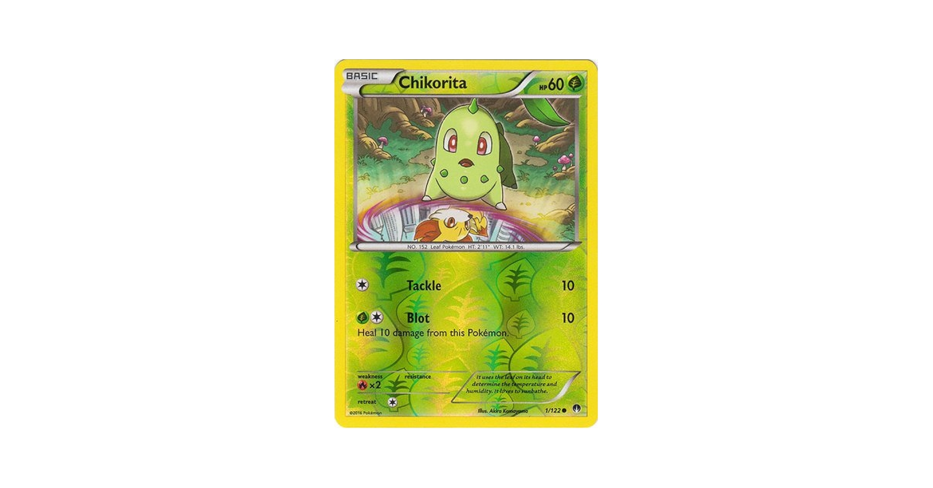 Amazon.co.jp: Pokemon – Chikorita ( 1 / 122 ) – XYブレーク