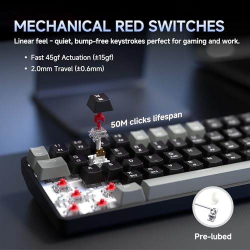 Dierya DK68 Teclado Mecánico Gaming Inalámbrico,60% Layout Compacto 68 Teclas con Triple Modo-Bluetooth/2.4G/Type-C,Red Switch Gamer Mechanical RGB Keyboard para PC/Win/Mac,QWERTY,Griza Nigra-B - imagen 5