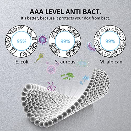 Dog Diapers - Puppy Diapers Female | Super Fast Absorbent, Anti-Bactrl Premium Graphene - Pack Of 3 #TOP2