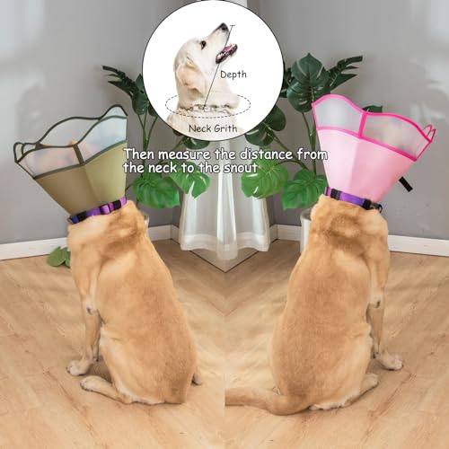 Image of Dog Cone for Dogs After Surgery, Soft Dog Cones for Large Medium Small Pets, Adjustable Collar for Pets to Stop Licking, Lightweight E Collars Elizabethan for Dogs (Green Cone, M)