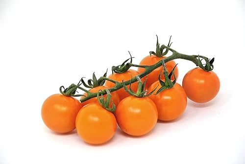 Miniatura 4 de Semillas de tomate cereza naranja para plantar, más de 100 semillas de reliquia por paquete, semillas de jardín de Isla (semillas de jardín de