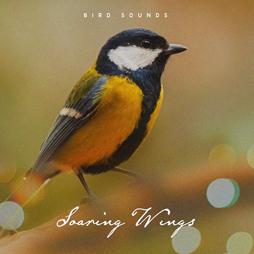 Play Soaring Wings by Bird Sounds on Amazon Music