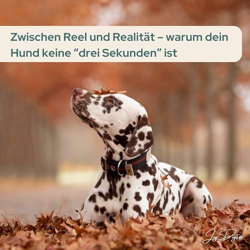 Hundetraining in Zeiten von Social Media &ndash; Fluch, Segen oder Zirkus?