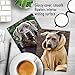 The Best Card Company - 10 Blank Dog Greeting Cards for All Occasions (4 x 5.12 Inch) - Dogs In Da Hood M3733OCB-B1x10-NB