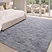 Soft Grey Rugs for Bedroom Living Room, 4x6 Feet Modern Indoor Fuzzy Shaggy Area Rug, Non-Slip Fluffy Furry Rug for Nursery Kids Room Dorm Room Home Decor, High Pile Plush Floor Carpet