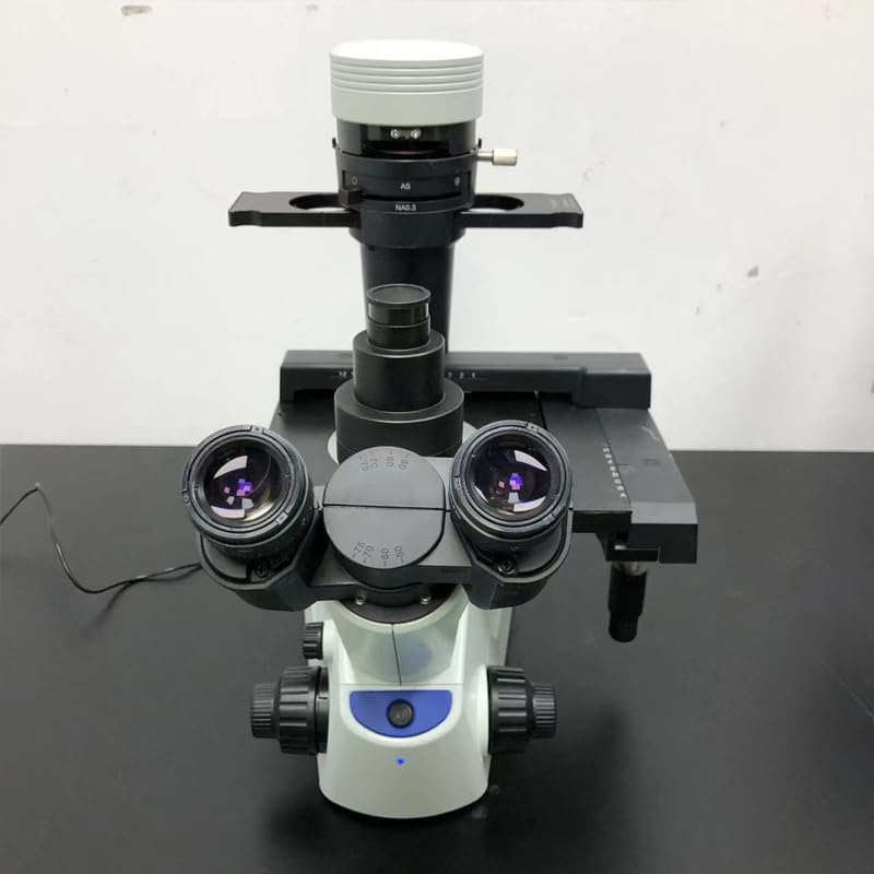Kensener CX23 Microscope, Compound Binocular Microscope, Trinocular Microscope, for Experimental use