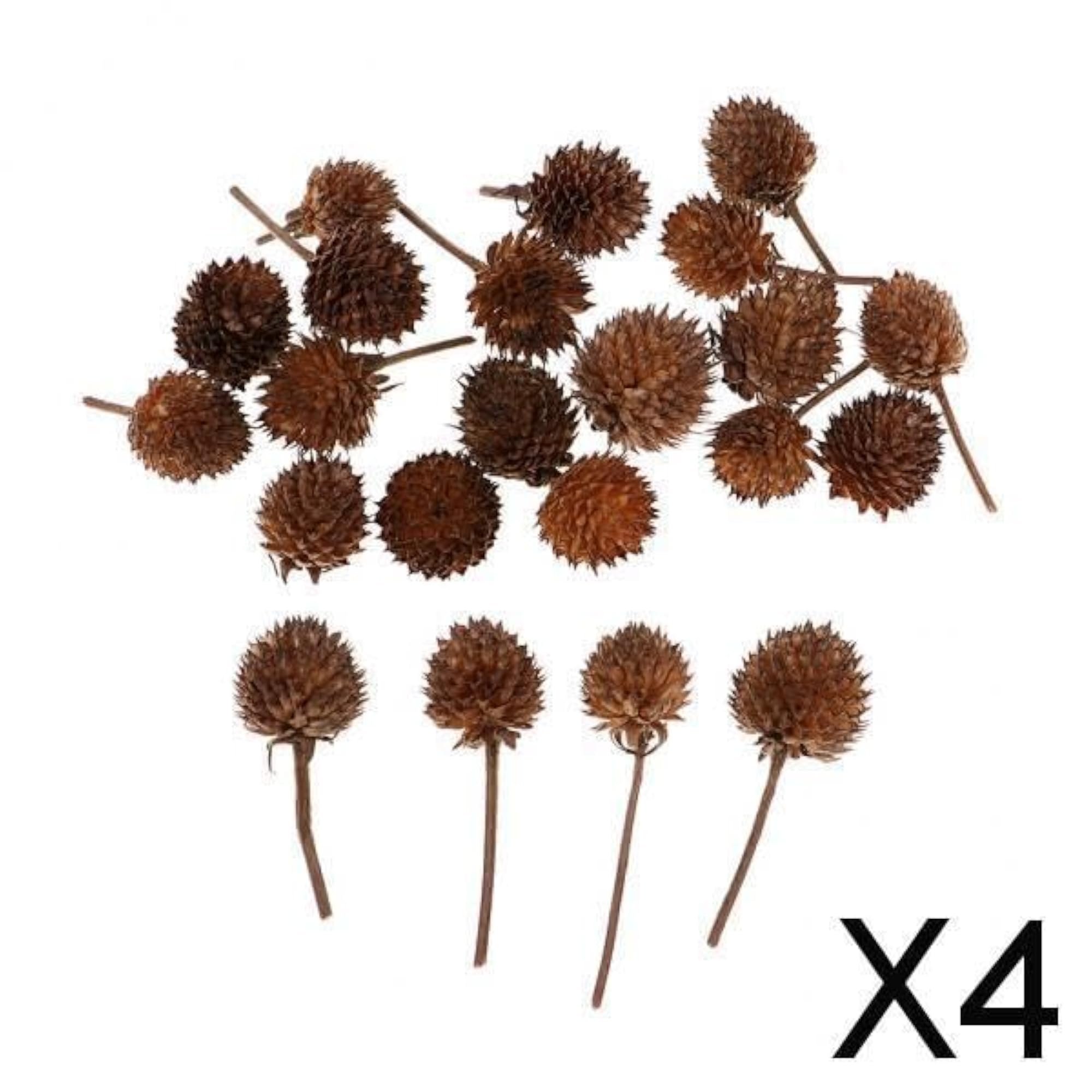 Natural Dried Flowers for Wedding Party Decorations