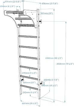 211W Wallbars, Stall Bars, Swedish Ladder, Gymnastic Ladder with Steel Frame, 8 Solid Beech Oval Rungs and Adjustable Beech Wooden Pull Up Bar for Suspension Training, Strength Training
