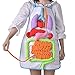 HUIGE DIY Plüsch Gefüllte Orgelschürze, 3D Menschliche Körperorgane Anatomie Schürze Sensibilisierung Pädagogisches Spielzeug, Für Kindergarten Kinder Physiologische Ausbildung Spielzeug