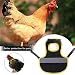 2Pcs Huhn Weste, WideSmart Hühnersattel Reflective Vest für Huhn - Pet Kleidung Geflügel Henne Sattel Schürze Federschutz Schürze Schutz Rückenschutz Jacke