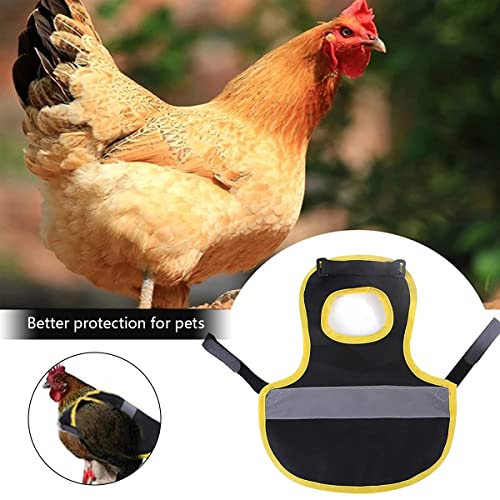 2Pcs Huhn Weste, WideSmart Hühnersattel Reflective Vest für Huhn - Pet Kleidung Geflügel Henne Sattel Schürze Federschutz Schürze Schutz Rückenschutz Jacke