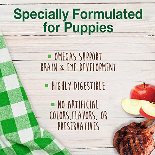 Image of Nylabone Healthy Edibles Natural Puppy Chews Long Lasting Treats for Puppies, Lamb & Apple Flavor, Small /Regular (4 Count) (Pack of 2)