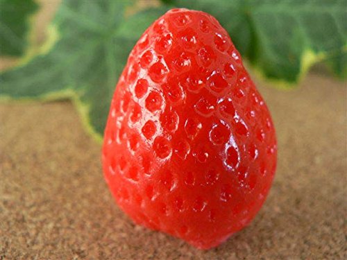 HiTv HiTv C`S  3.2cmyt[czyʕz02P03Dec16