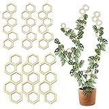 Honeycomb Hanging Plant Trellis - Plant Trellis for Climbing Plants, Houseplant Trellis Plant Wall...