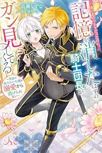 一夜の恋のつもりだったのに、記憶を消したはずの騎士団長がガン見してくる～男装の身代わり令嬢は溺愛から逃げられない～ (メリッサ)