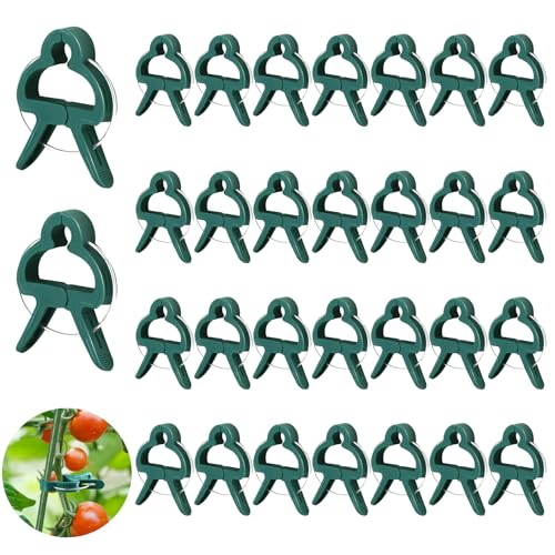 Pflanzenklammern Wiederverwendbare Pflanzenclips Pflanzenclips für Kletterpflanzen Tomaten Klammern Blumenklammern für Befestigung und Stützung von Pflanzen Gemüse Blumen und Früchten (30PCS)