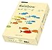 Papyrus 88042280 Druckerpapier Rainbow 120 g/m², A4 250 Blatt chamois