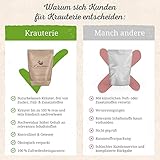 Krauterie Pfefferminze Hund, Einzelfuttermittel für Hunde (100 g), Pfefferminzblätter Pulver in Spitzenqualität