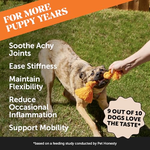 Image of 11-in-1 Advanced Hip + Joint Supplement for Dogs - Mobility Support with Glucosamine Chondroitin, Turmeric, & Green Lipped Mussel, MSM - Soothes Joint Stiffness & May Reduce Discomfort (Bacon, 90 Ct)