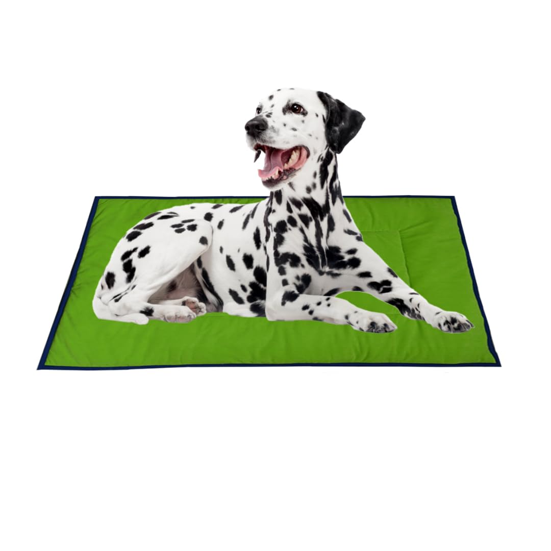I WISH Quilted Pet Bed Soft Mattress | Velvet Smooth | Washable Cozy Pet Bed| Light Weighted Dog Flat Mat (Medium) GReen100 x 66 cm (B0CRVLHF71) Amazon Price History, Amazon Price Tracker