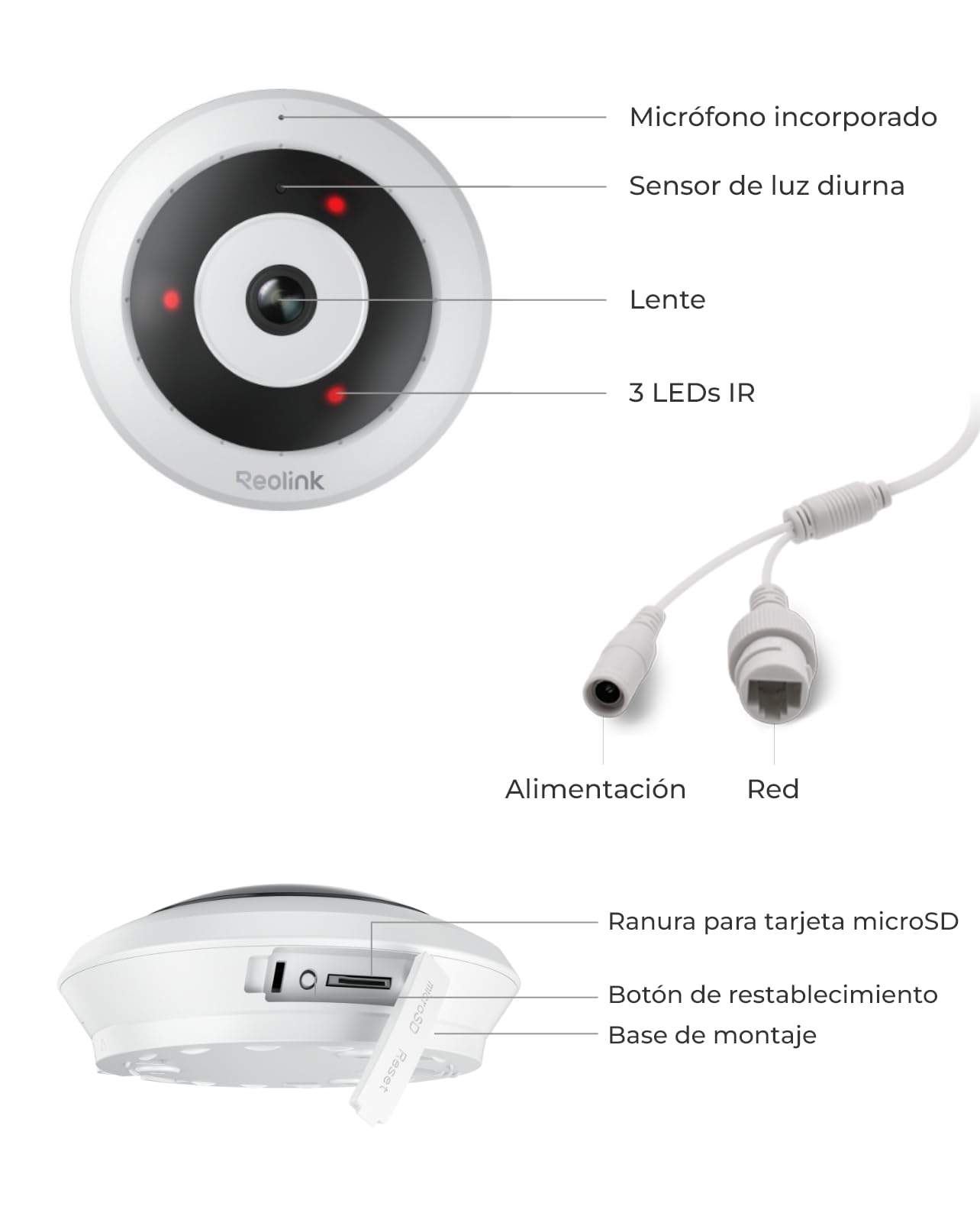 Reolink Cámara WiFi Interior 6MP, Vista Panorámica 360°, Cámara Ojo de Pez | WiFi 2,4/5 GHz, Detección de Personas, Audio Bidireccional, Instalación Techo/Pared/Mesa, Múltiples Vistas, FE-W Blanco