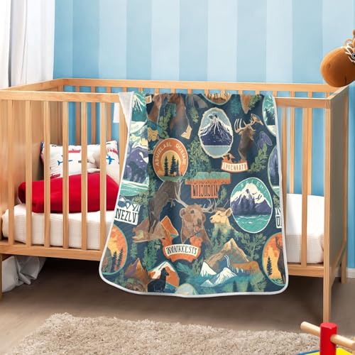 Image of Baby Swaddle Blanket for Boys Girls Soft Warm Stroller Throw Blanket for Newborn Infant Toddler 30X40in Camping National Park Colorful Labels Emblems (2)