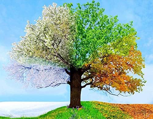Joybohoo Cross Stitch Kits Stamped Full Range of Embroidery Starter Kits for Beginners DIY 11CT 3 Strands -Four Seasons Tree(Printed) 23.6x19.7 inches