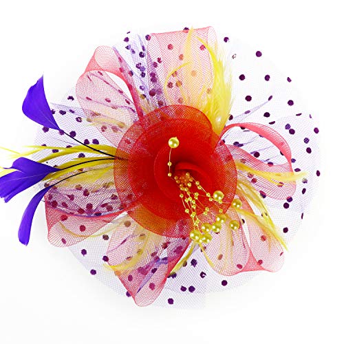 Image of DRESHOW Fascinators Hat Flower Mesh Ribbons Feathers on a Headband and a Clip Tea Party Headwear for Girls and Women
