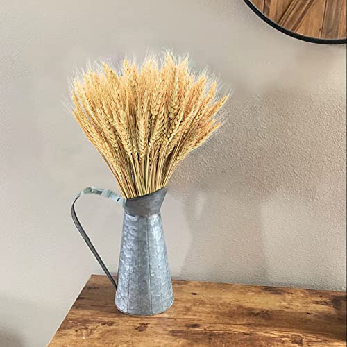 Uieke WHEAT GRASS-300PCS 17.7 Inches Dried Wheat Stalks, 300 Stems Dried Flowers 100% Natural Wheat thumb #7