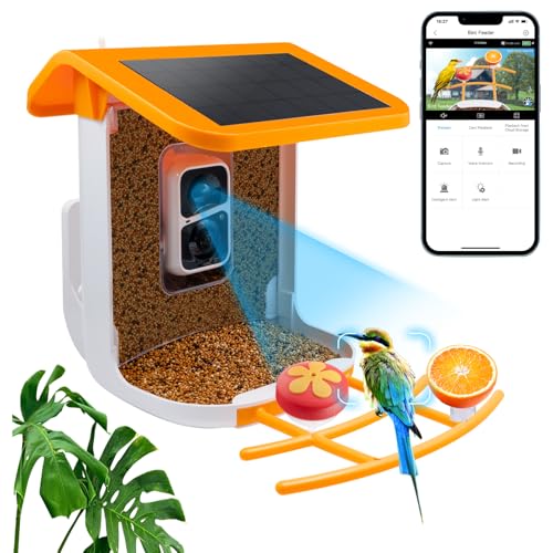 Bird Feeder with Camera Solar Powered, 2K Live Video, for Outdoor Backyard - Ai Identify Auto Capture Videos, Unique Outdoor Gifts for Mom Dad Birdlover