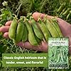 Sow Right Seeds - Telephone Pea Seeds for Planting - Non-GMO Heirloom Packet with Instructions to Grow an Outdoor Home Vegetable Garden - Tall, Productive Vining Plant - Sweet Shelling Pods (1) #2