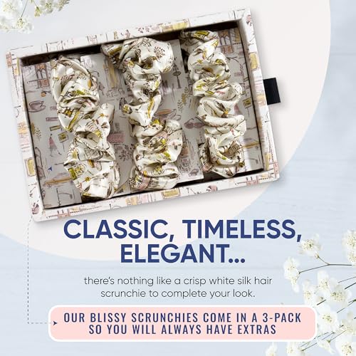 Image of Blissy Silk Scrunchies (3 Pack) - 100% Pure Mulberry Silk - 22 Momme 6A High-Grade Fibers Scrunchie for Straight & Curly Hair (Nicole Miller NY to Paris, Regular)