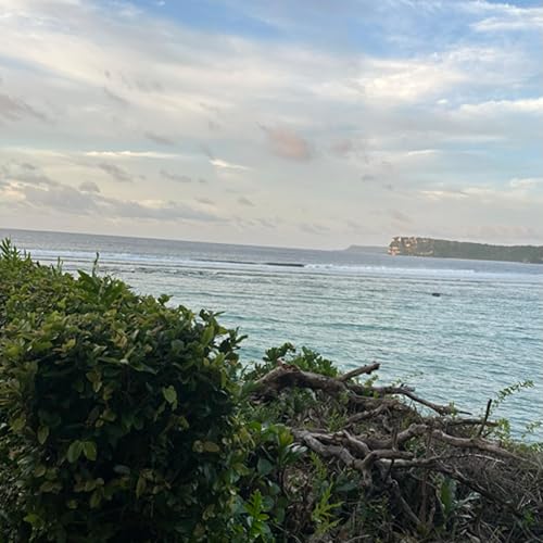 海外派令劇場-第六十五集- 準備一副老花眼鏡/繳交工作卡/家庭主婦轉身一變為職業家庭煮婦/職場人生如戲10-一視同仁的生日會/網紅的爭議/國外看醫生