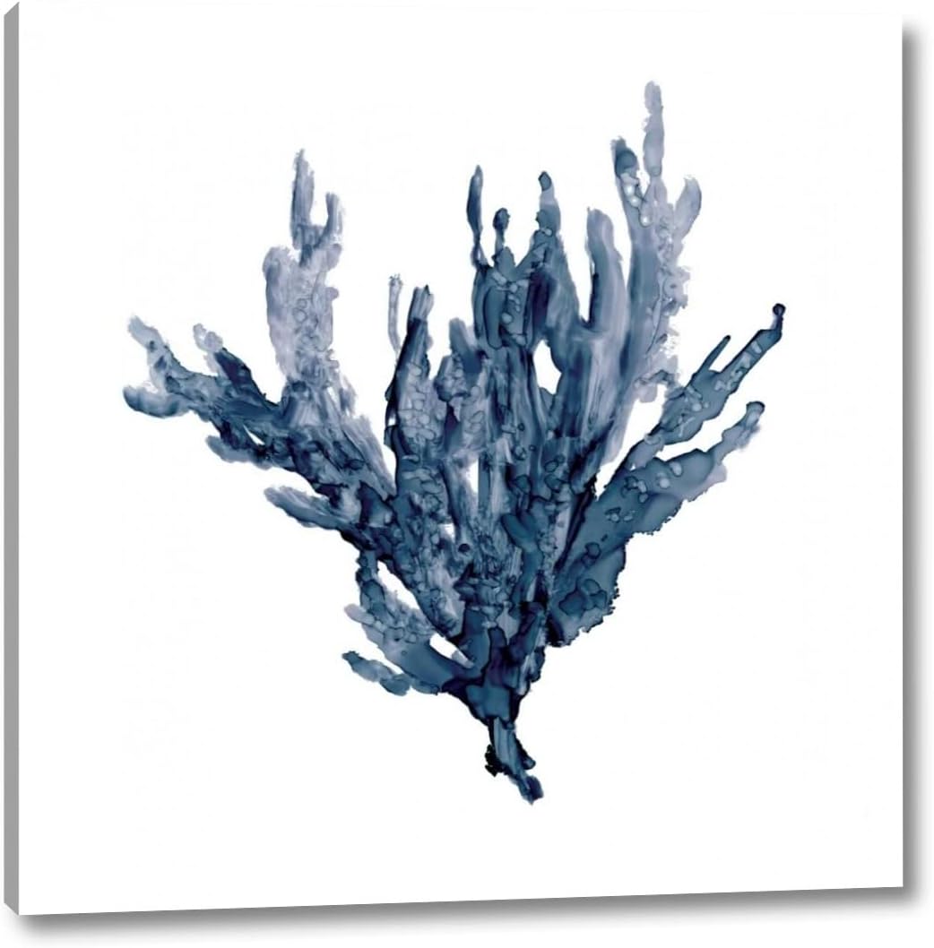 Sea Coral I by Carol Robinson 16" x 16" Gallery Wrapped