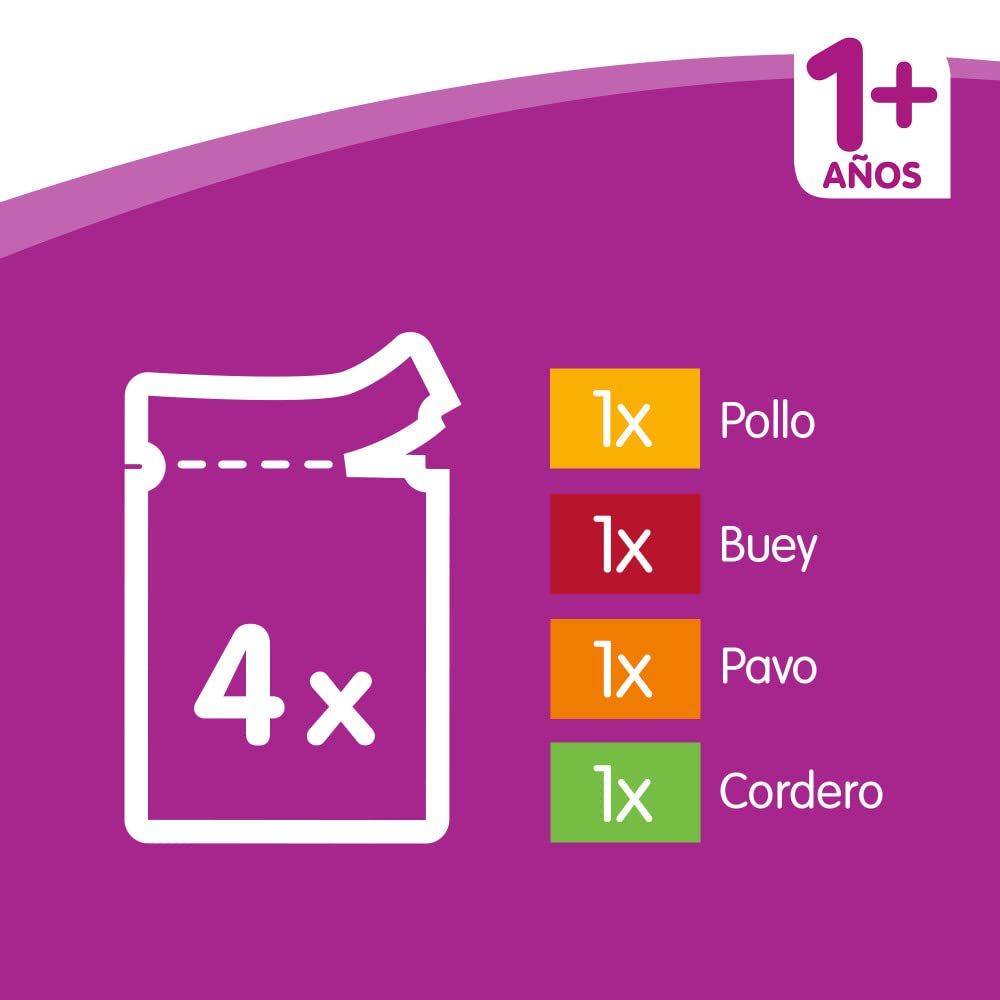 Whiskas Comida Húmeda para Gatos Selección Carnes en Salsa, Multipack (Pack de 13 x 4 bolsitas x 100g)