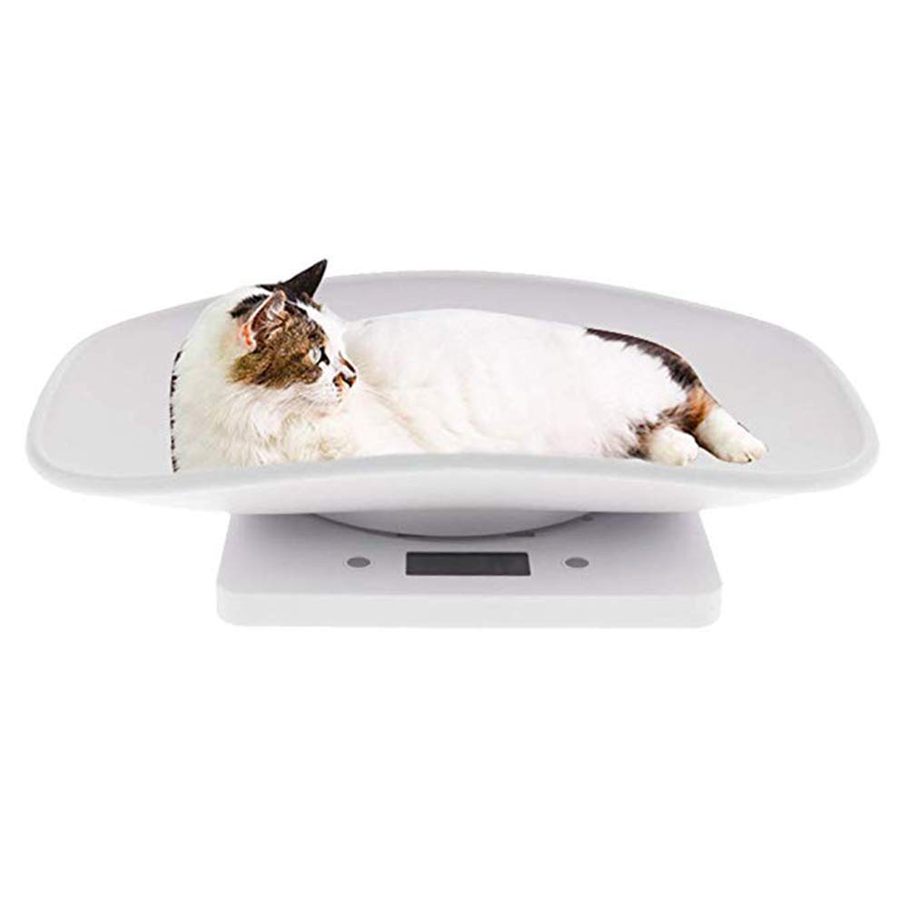 Bilancia digitale multifunzione, capacità 10 kg, bilancia accurata per bambini, animali domestici (cane/gatto/cucciolo), piccoli animali e peso alimentare