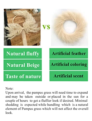 Natural Pampas Grass Wreath 27'' Boho Wreath All Year Round Wreath Housewarming Gift Birthday Present #TOP4