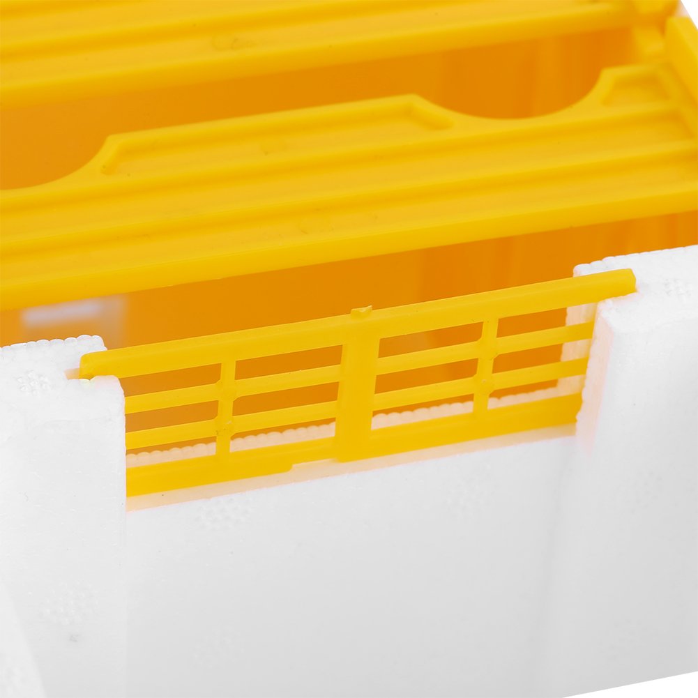 Boîte de rangement pour ruche, boîte d'élevage de reines d'apiculture, élevage de la ruche apiculture, boîte de pollinisation de roi, mini ruche apiculture apiculteur fournitures de réserve