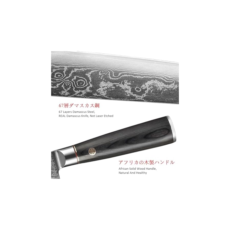 EANINNO Chef Knife 8 inch Japanese Damascus Kitchen Knife, Sharp Vg10 Chefs Knife 67 Layers High Carbon Damascus Stainless Steel Professional Cutting Knife