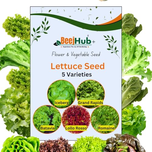 Image of BEEJHUB - Lettuce Seed | 5 Vaieties | Exotic Variety |1200+ Seeds| For Home Gardening | Hydroponic | Lollo Rosso | Iceberg | Batavia | Grand Rapids | Romaine - 220+Seeds Each Variety | Combo Pack