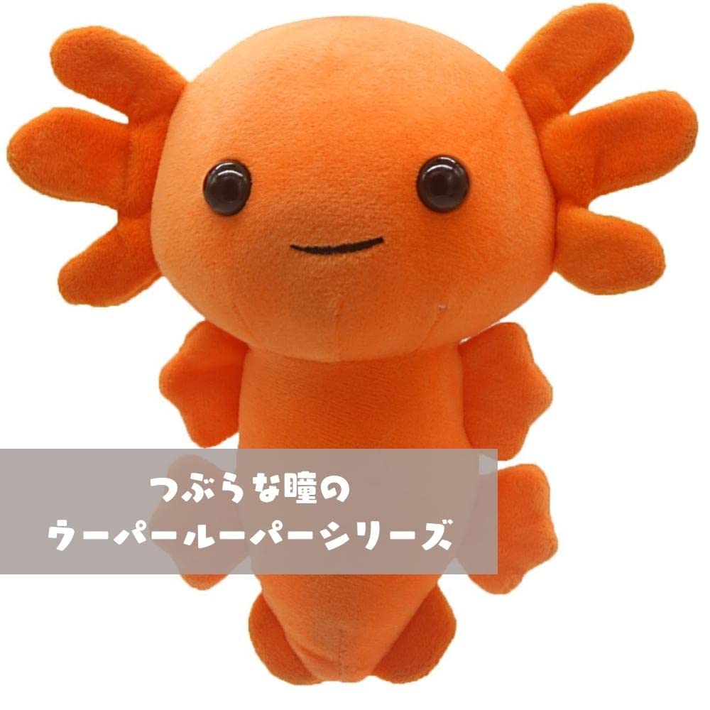 Amazon.co.jp: Cozy Noxxiez ノクシーズ ウーパールーパー ぬいぐるみ