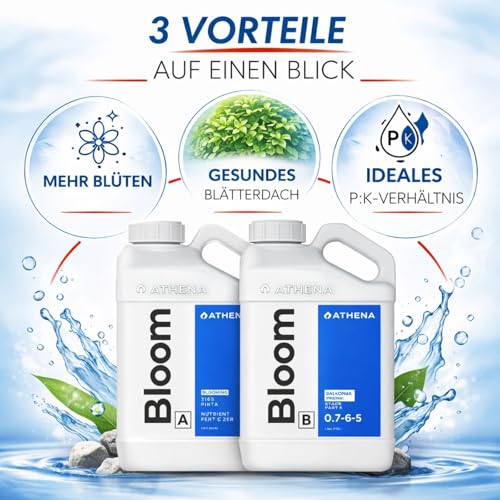 Kit d'engrais XL haute performance Weedness Athena - 2