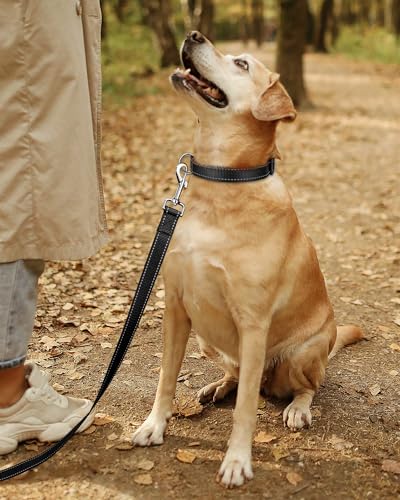 TagME Nylon Hundehalsband, Verstellbares Reflektierendes Hundehalsband mit Sicherheitsschnalle für Welpen, Schwarz, 1.0cm Breite