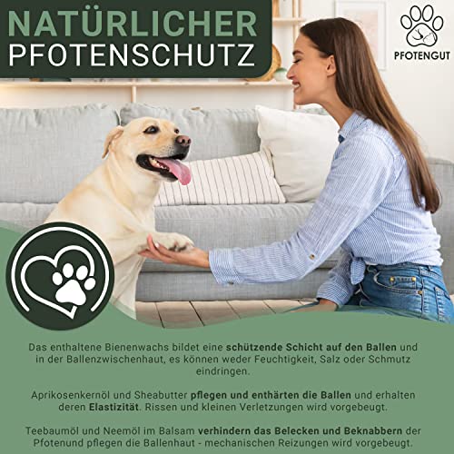 PFOTENGUT® Pfotenbalsam 100ml [Made in Germany] - Pfotenpflege für Hunde gegen trockene und Wunde Pfoten - Hochwertiger Pfotenschutz für Hunde mit Bienenwachs, Sheabutter & Aprikosenkernöl