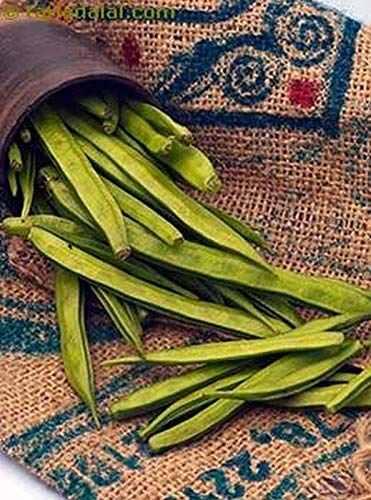 Guar Seeds (Cluster Beans) - Unique Earthy Texture A Basic Stir-Fry Bean(25 - Seeds) #TOP2