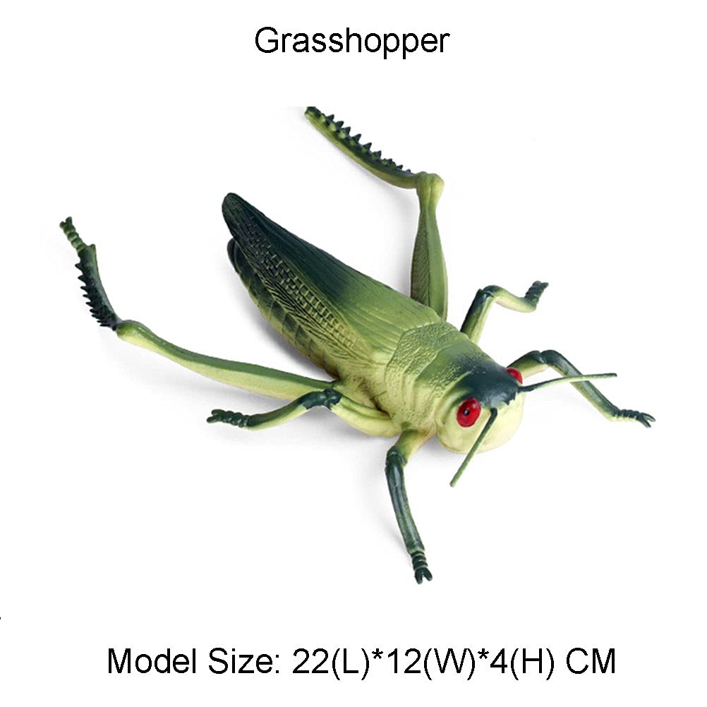 Amazon.com: JOKFEICE Animal Figures Realistic Plastic Grasshopper