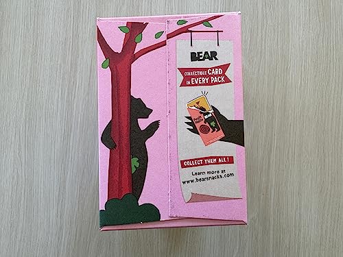 Bear Real Fruit Snack Rolls, Strawberry & Raspberry Variety Pack, 48 Roll (24pk, 2 rolls per Pack)