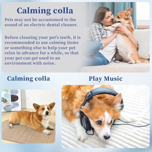 Pet Tooth Brushing Kit, Remover for Teeth Dog, Plaque Remover Safe for Dogs and Cats, 3 Modes, Pet Tooth Cleaner Dental Care Tartar Plaque Remover with LED Light (White)